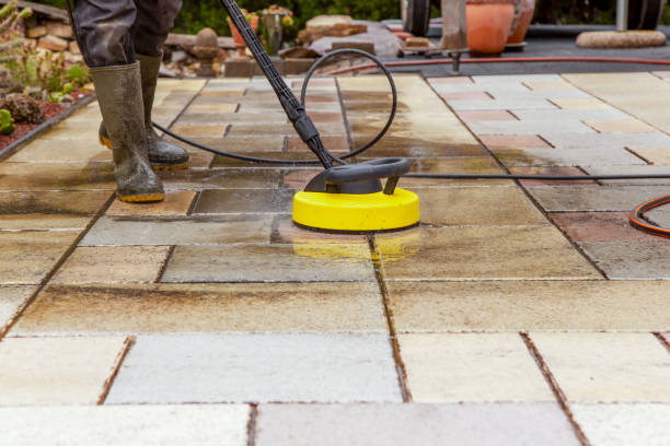 Best Roof Cleaning and Mildew Removal in Sloan, IA